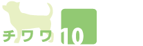 チワワ10