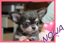 ～モレアノdiary