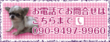 お電話でのお問い合わせはこちらまで、090-9497-9960