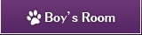 Boy's room