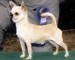 BOZ君 2004 ペディグリーアワード受賞