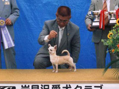 BOZ君 2004 ペディグリーアワード受賞