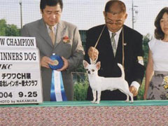 飛馬 2004 JKCCH完成