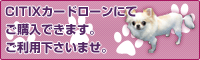 CITIXカードローン