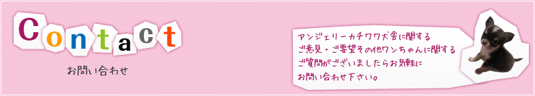アンジェリーカチワワ犬舎に関するご意見・ご要望その他ワンちゃんに関するご質問がございましたらお気軽にお問い合わせ下さい。